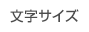 文字サイズ